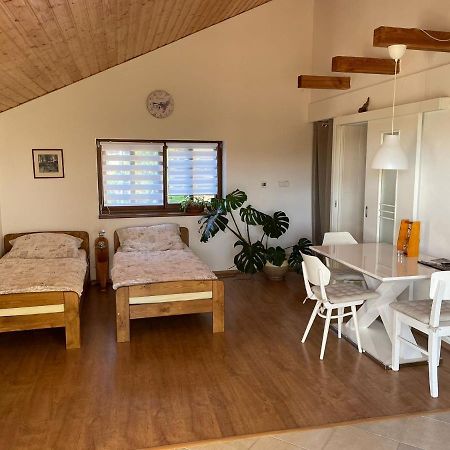 Apartman V Podhuri Jizerskych Hor Zelezny Brod Dış mekan fotoğraf