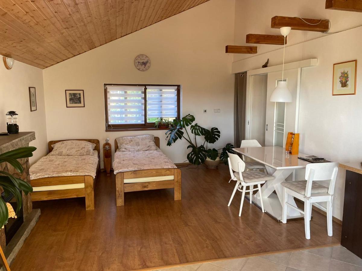 Apartman V Podhuri Jizerskych Hor Zelezny Brod Dış mekan fotoğraf