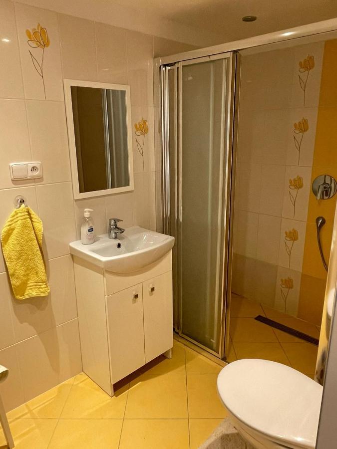 Apartman V Podhuri Jizerskych Hor Zelezny Brod Dış mekan fotoğraf